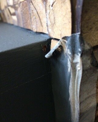 Фото: Instagram @news_sakhalin