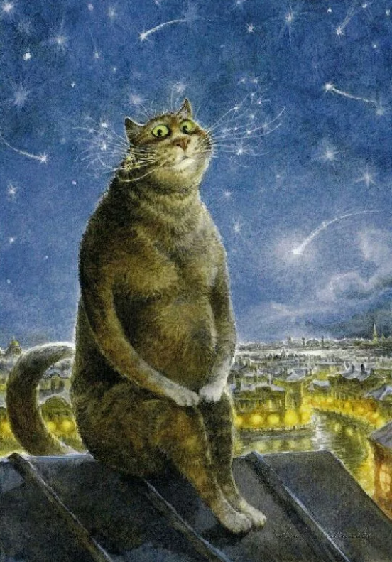 Звездопад.Из открытого источника