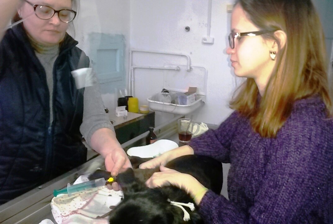 Джесси очень послушная, а доктора - опытные и добрые