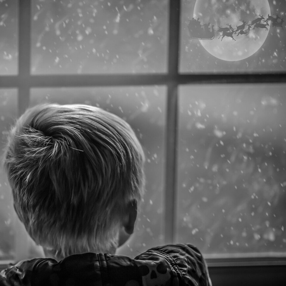 Фото из открытых источников