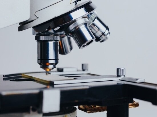 Фото - pxhere.com