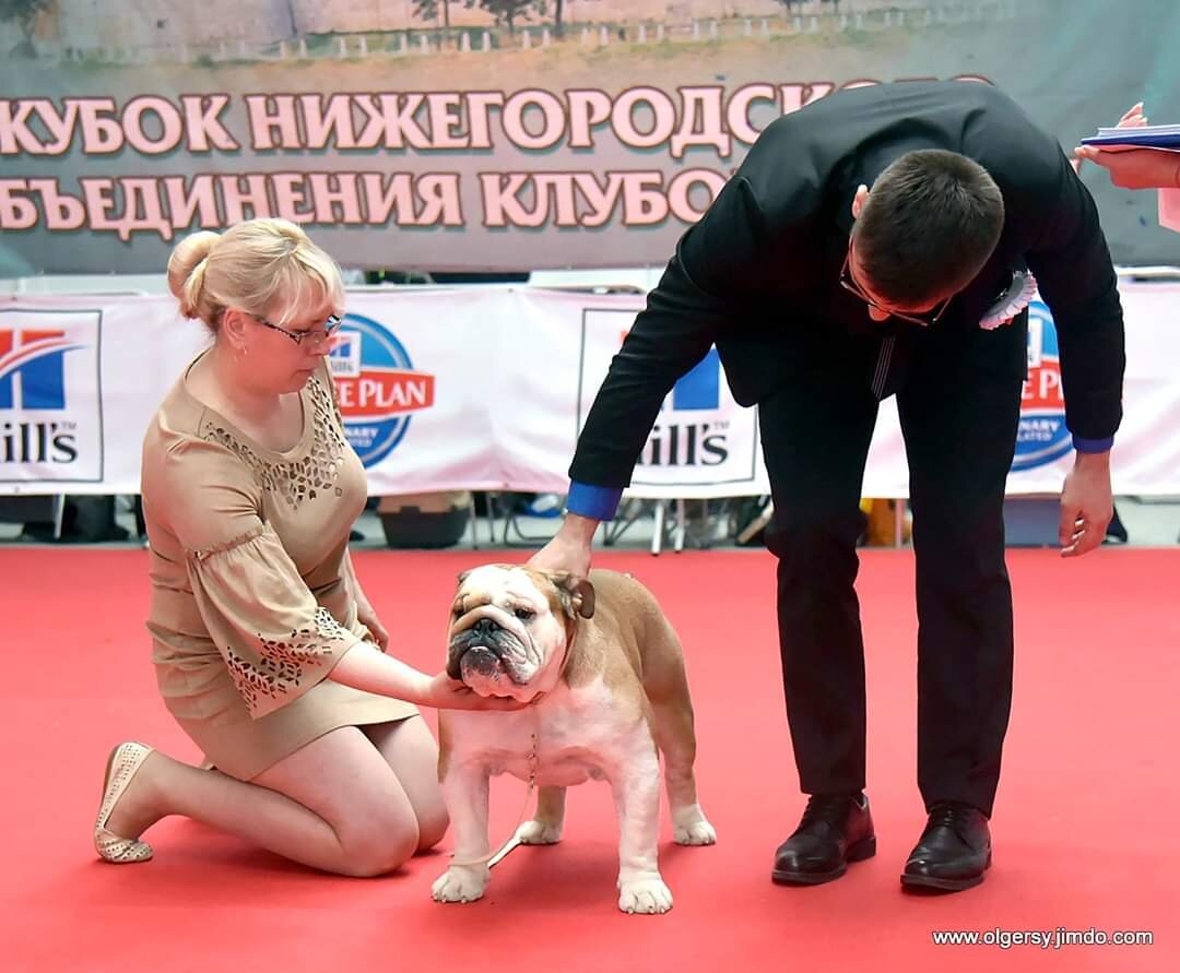 Фото с выставки 