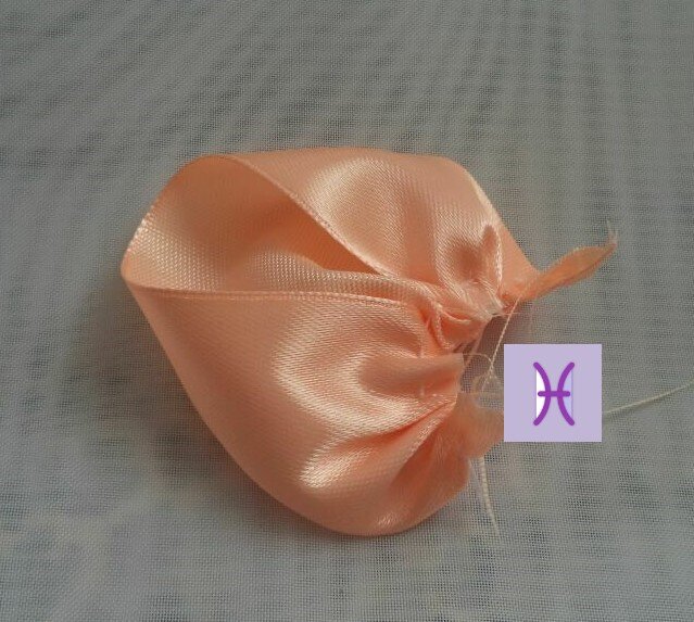 лепесток розы сзади