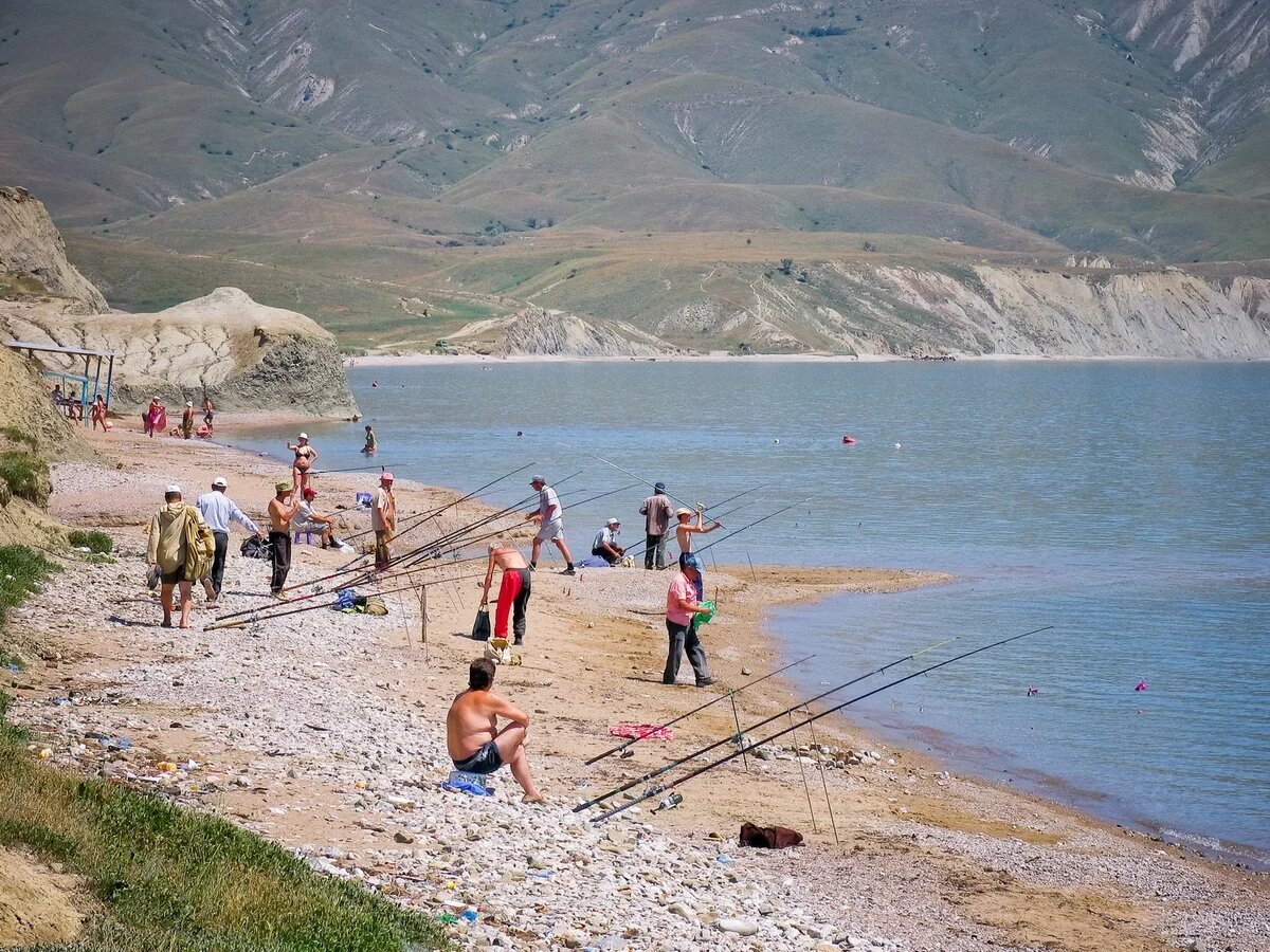 Все о рыбалке в Крыму. Самые рыбные места: море, озера, реки. Сезон ловли и  что можно поймать | Discover you Crimea! | Дзен