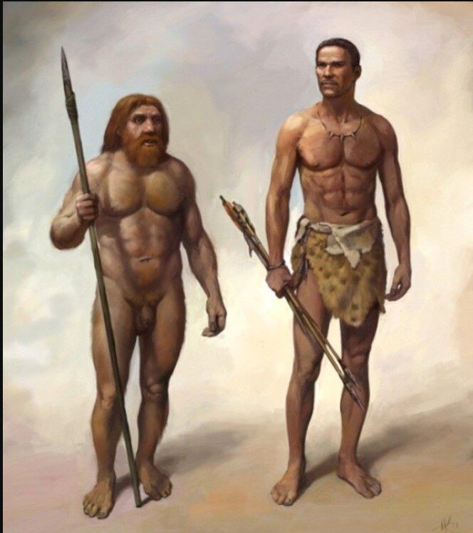 Слева - неандерталец, справа - человек разумный