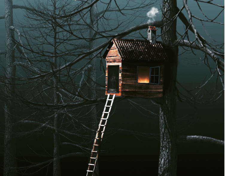Картинка с сайта https://pixabay.com/