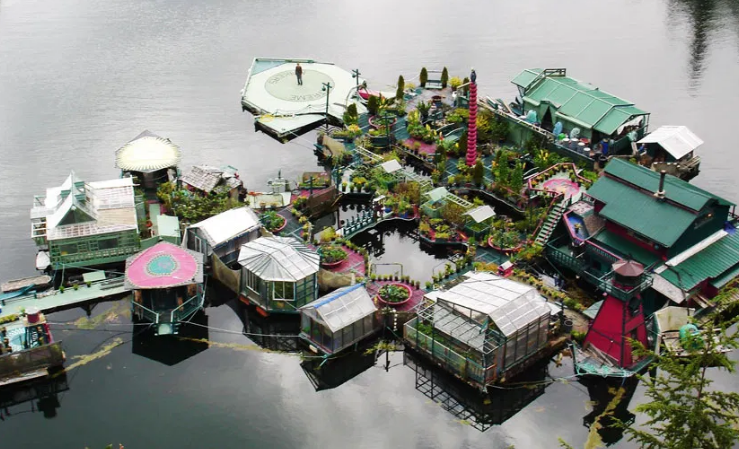 "Бухта Свободы"