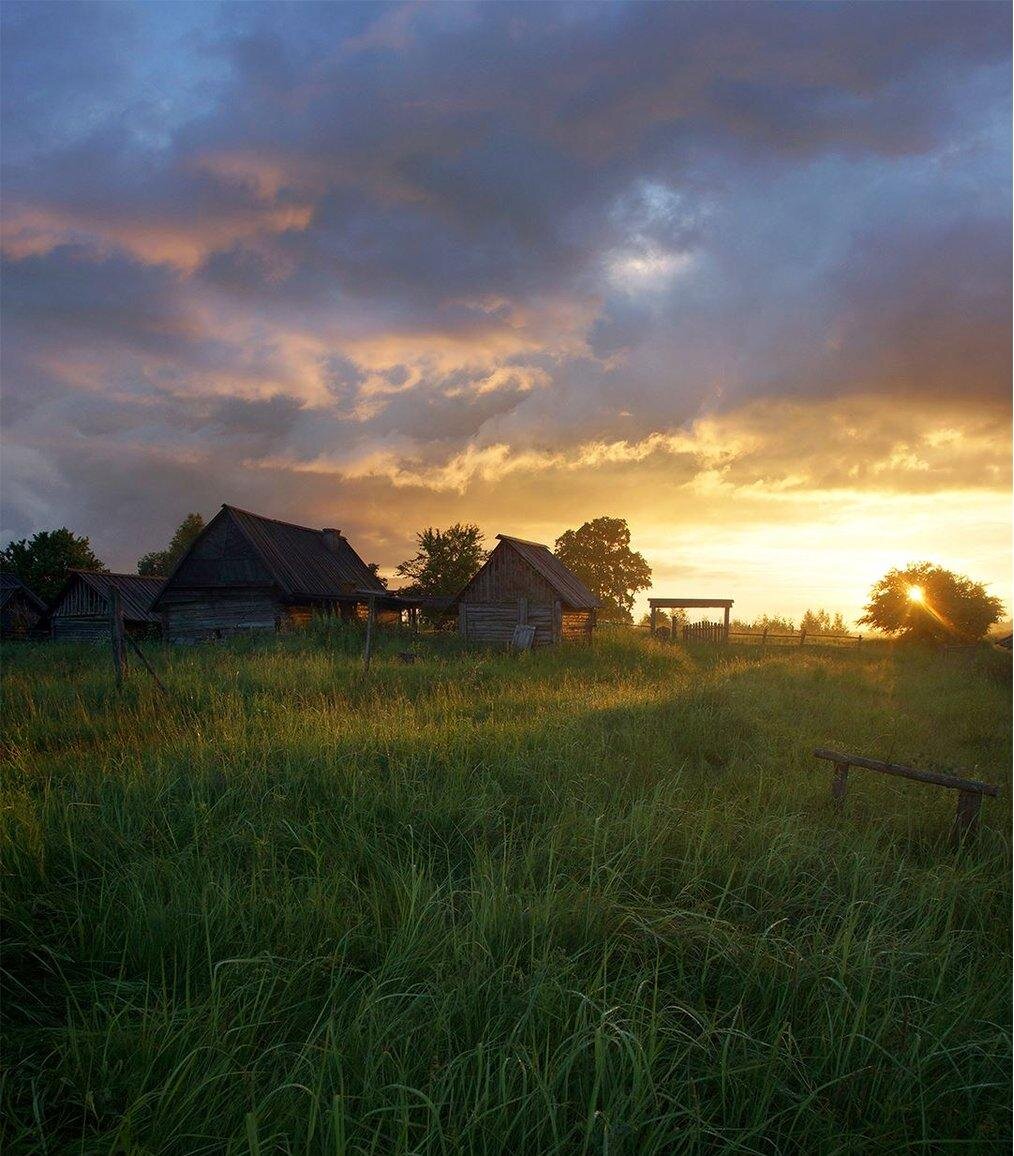 Фотография из открытых источников.
