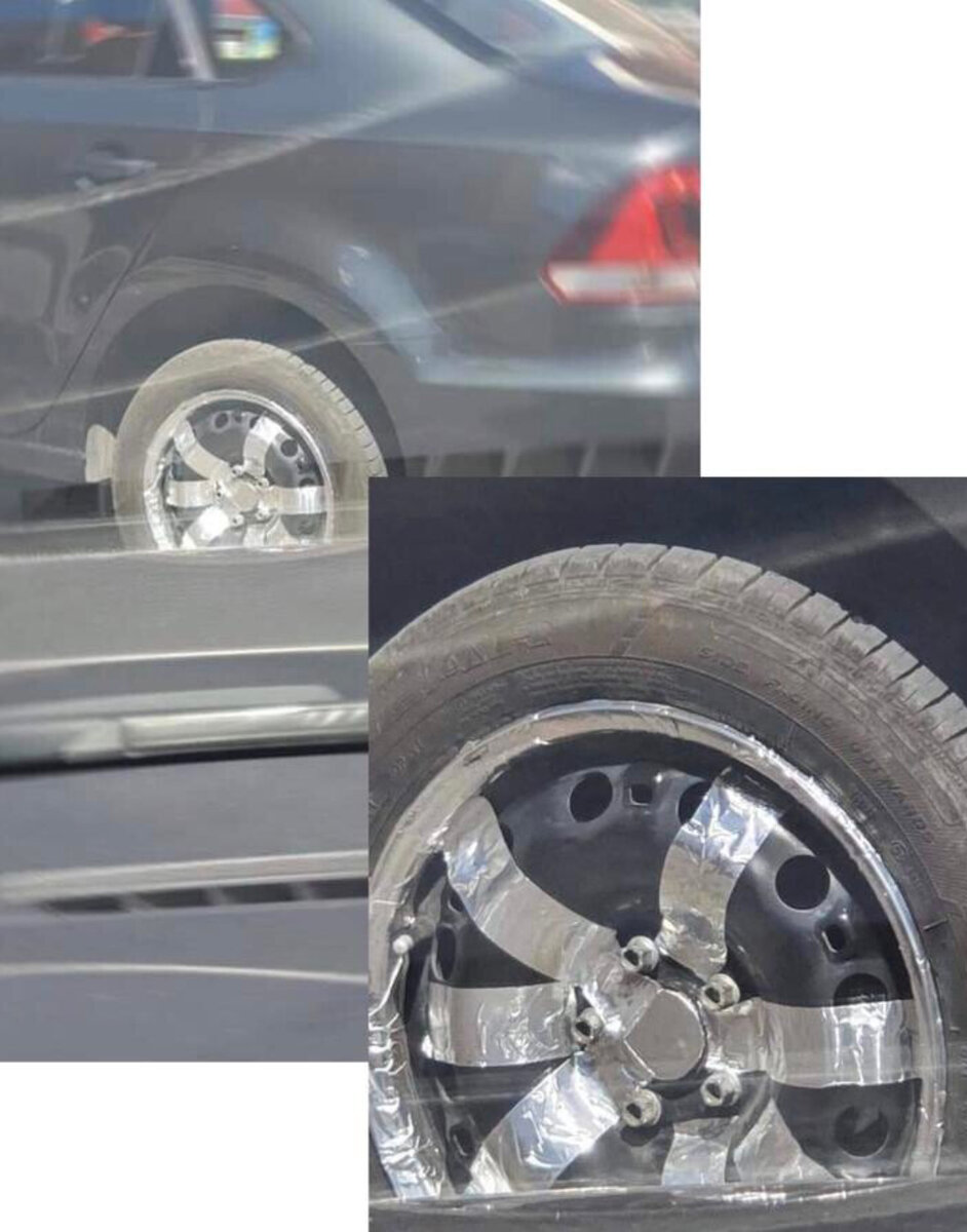 Фото из открытых источников 