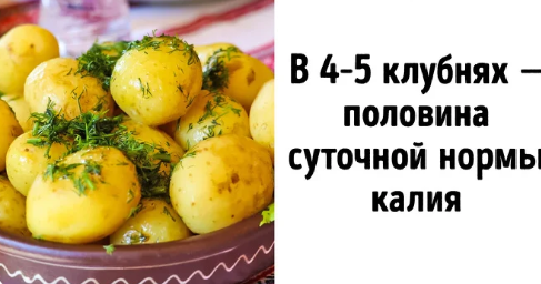 Картофель часто исключают из своего рациона те, кто придерживается диеты. И это правильно, если речь идет о жареной картошке или чипсах. Однако в 100 г отварного картофеля всего 82 ккал и масса калия, который необходим для сердца и помогает регулировать кровяное давление. Кроме того, в том же количестве картофеля содержится до 12–15 % суточной нормы витамина B6, который принимает участие в создании красных кровяных телец.