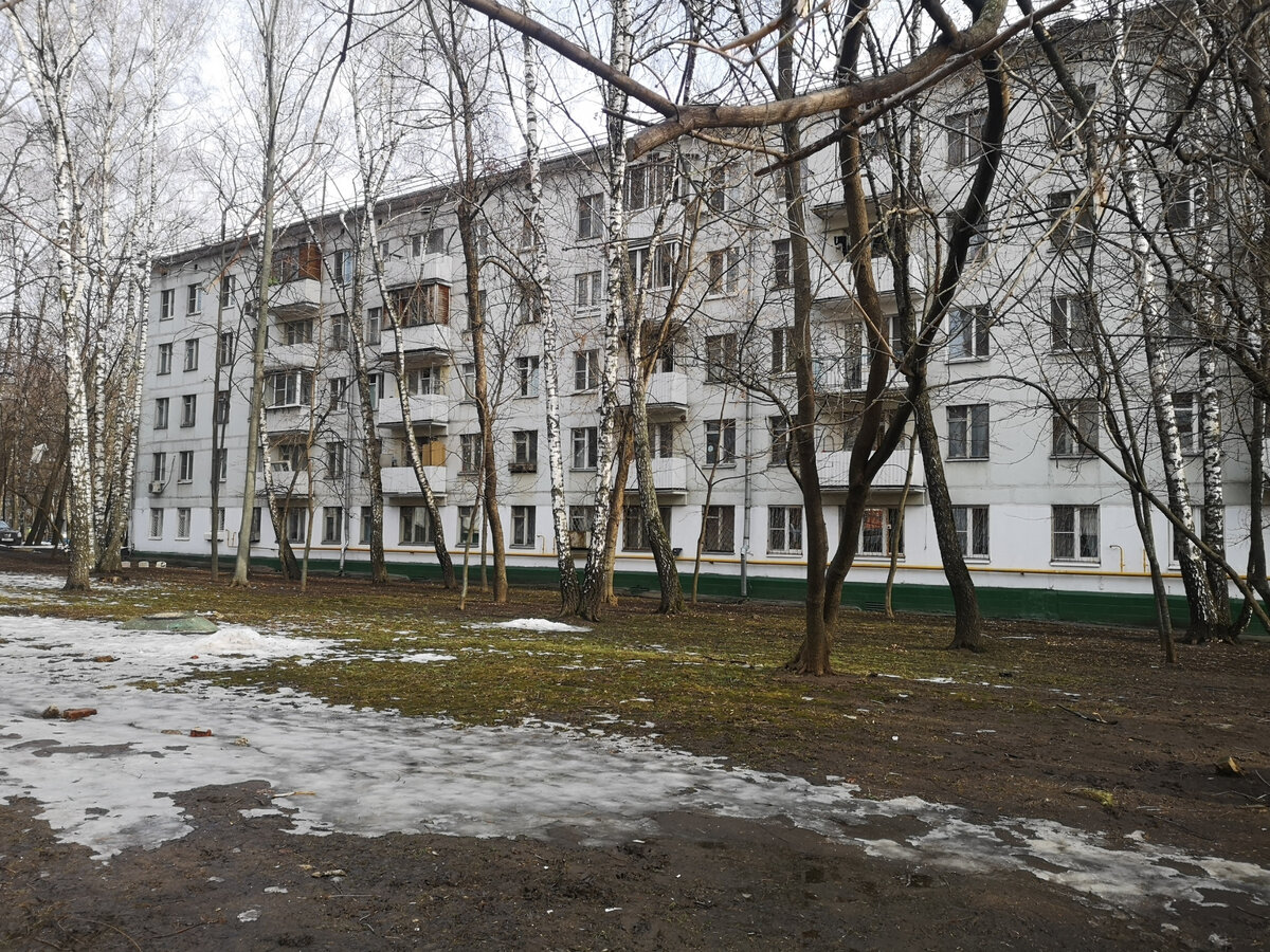 В Москве весна, дворы сверкают лужами, и под ногами расцветают 