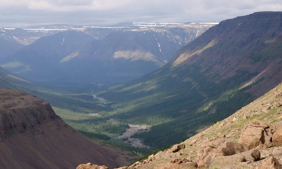 Взято из Яндекс Дзен