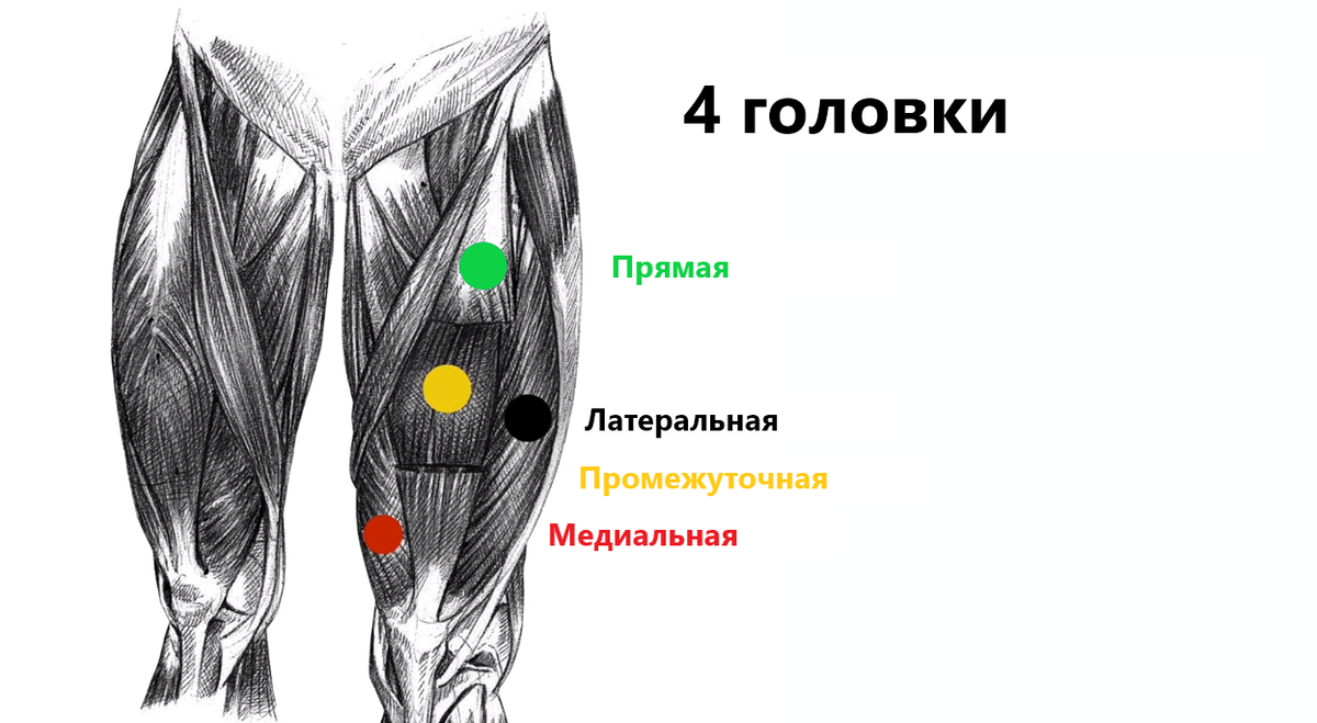 Ххх фото большие бедра