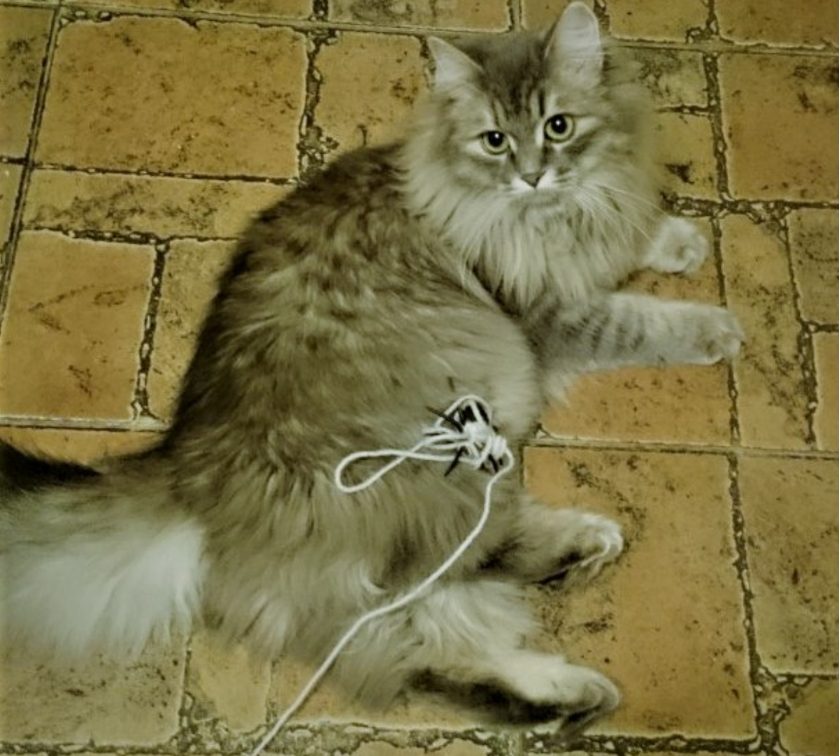 Фото автора истории. 