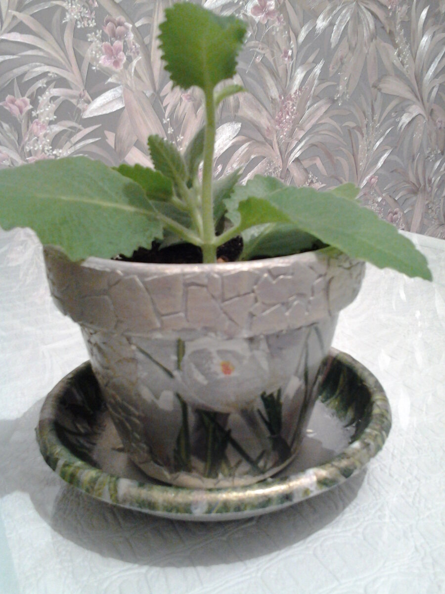 глиняный цветочный горшок: декор яичной скорлупой