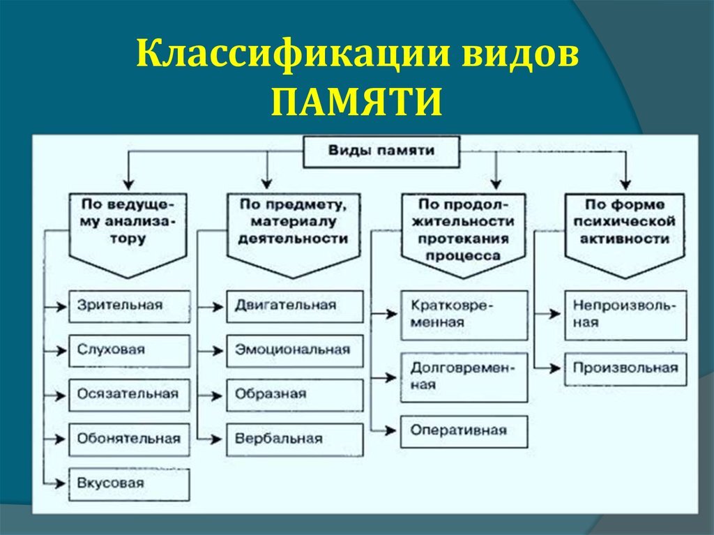 источник: En.ppt-online.org