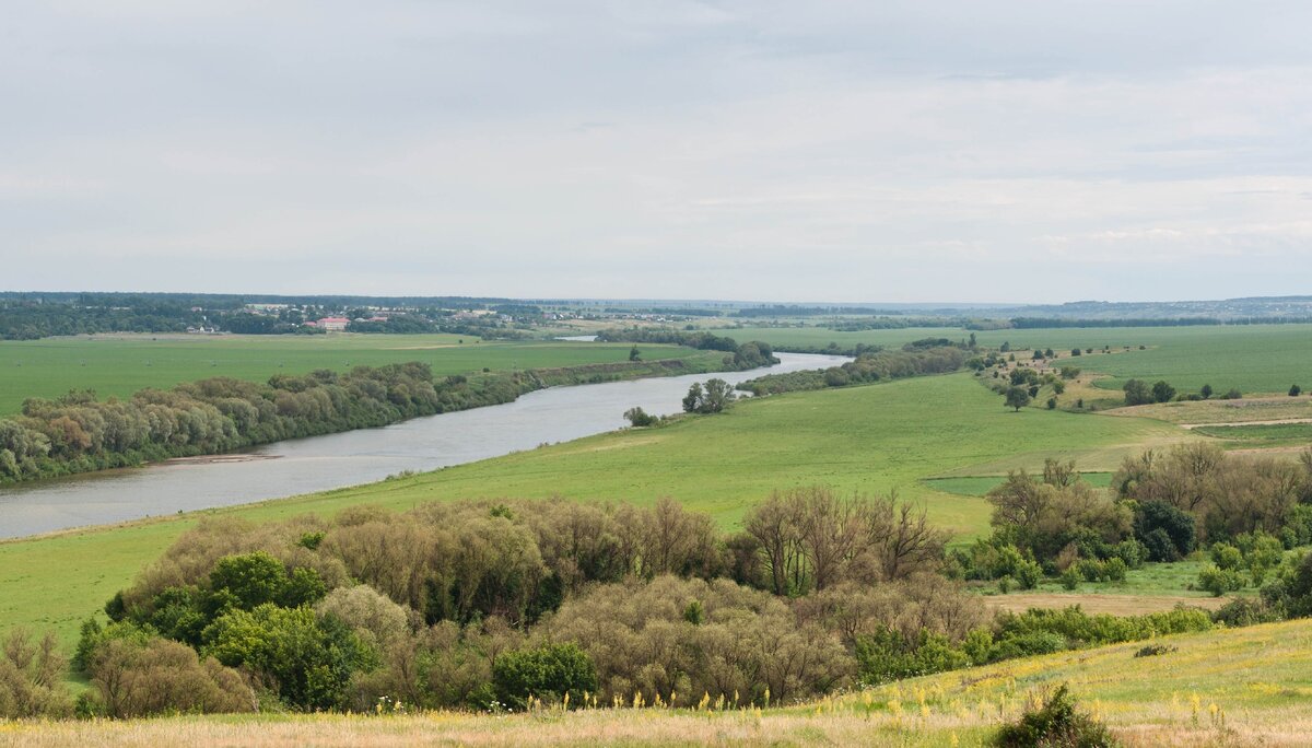 Село дон. Донская Негачевка Липецкая область. Дон Негачевка Хлевенский район. Донская Негачевка Воронеж. Самый большой разлив Дона в Липецкой области.