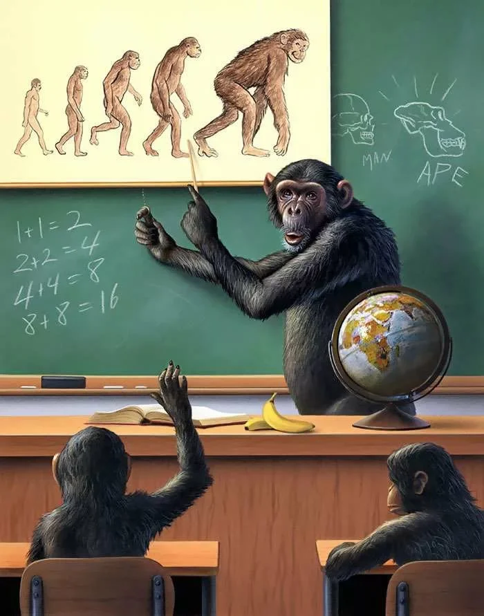 Источник изображения: https://zabavatut.ru/jumor/11-karikatur-o-tom-chto-bylo-by-esli-by-zhivotnye-i-ljudi-pomenjalis-mestami
