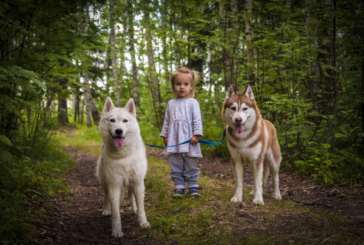 У меня вон двухлетка справляется с хасями без строгачей, а взрослые дяди и тети - не могут почему-то...