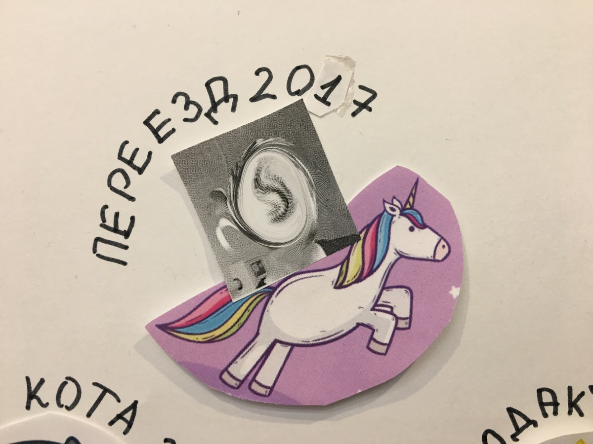 Стенгазета с единорогами в офисе. Кстати, на фото тот самый человек, который придумал дать дополнительное задание новеньким. Шутник