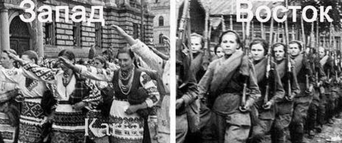 (фото с яндекс картинки)