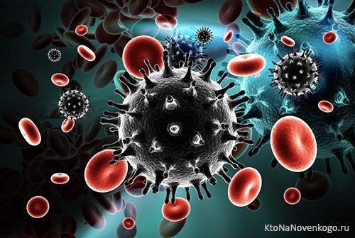 Что такое коронавирус, и чем он опасен?

Коронавирусы – целое семейство вирусов, преимущественно поражающих животных и только в некоторых случаях передающихся человеку. У млекопитающих и птиц коронавирусы могут привести к поражению печени, нервной системы, но чаще всего – респираторного и желудочно-кишечного тракта. Большинство из этих вирусов не опасны для человека, а вызванные ими заболевания протекают без тяжелых осложнений.

Тем не менее, в данном семействе выделяют такие опасные для человека виды, как ближневосточный респираторный синдром (MERS-CoV, БВРС) и тяжелый острый респираторный синдром (SARS- CoV, он же ТОРС-коронавирус), которые способны привести к неблагоприятным исходам[1]. Теперь этот список пополнил и коронавирус из Уханя. Его имя – COVID-19, или 2019-nCoV.

С чем связано название «коронавирус»? Дело в том, что коронавирусы относятся к РНК-вирусам, в состав их нуклеокапсида входят гликопротеины, которые по форме похожи на шипы, благодаря чему вирус визуально напоминает корону.

Происхождение COVID-19

Коронавирус из Уханя COVID-19 имеет строение, схожее с коронавирусами летучих мышей[1], и, вполне возможно, что именно они стали основным источником нового штамма вируса. Пока остается загадкой, как именно COVID-19 передается человеку: напрямую от летучих мышей или через промежуточных хозяев, которыми могут оказаться домашние животные.

Когда стоит беспокоиться?

Большинство респираторных заболеваний имеют одинаковую симптоматику: чувство усталости, высокая температура, лихорадка, затрудненное дыхание, кашель и /или боль в горле, одышка. Но если такая клиническая картина развивается у человека, который 2 недели назад вернулся из Китая или контактировал с человеком, у которого подтверждена или предполагается инфекция COVID-19, то тогда есть повод для беспокойства. Период от момента инфицирования до развития симптоматики называется инкубационным. Для COVID-19 он составляет 4-14 дней. При рентгенологическом исследовании определяются двусторонние инфильтраты в легких[1].

На сегодняшний день по данным анализа известных случаев инфицирования человека COVID-19, уровень смертности оценивается в 2% от всех заболевших[2]. Каждый пятый пациент с коронавирусной инфекцией пережил критические состояния, потребовавшие интенсивной терапии (вплоть до реанимационных мер): септический шок, дыхательную недостаточность и другие.

В большинстве случаев летальные исходы были зафиксированы у пациентов с сопутствующими заболеваниями. Наиболее «хрупкими» категориями, подверженными риску развития осложнений, являются пожилые люди с сердечно-сосудистыми и легочными заболеваниями, а также люди с ослабленным иммунитетом на фоне сахарного диабета, беременности, онкологических заболеваний.

Анализируя показатели смертности, ученые пришли к выводу, что в случае заражения коронавирусом женщины имеют более высокие шансы на благоприятный исход, так как имеют две Х-хромосомы: некоторые гены, ответственные за распознавание патогенов, кодируются именно в Х-хромосоме.[3].

Предупрежден – значит вооружён

По данным официальной статистики, на 6 марта 2020 в мире зарегистрировано более 98 700 случаев инфицирования[4].

География распространения коронавируса не ограничивается Китаем, Италией, Ираном и Южной Кореей. Сейчас она насчитывает уже 90 стран[4]. Именно поэтому генеральный директор Всемирной организации здравоохранения обратил особое внимание на то, что COVID-19 обладает серьезным потенциалом для развития пандемии. Как вирусу удалось так быстро расширить свои границы?

Воздушно-капельный путь ─ основной путь передачи всех респираторных заболеваний, и COVID-19 ─ не исключение. Но опасность подстерегает не только при общении с инфицированным человеком – вирус может передаваться воздушно-пылевым и контактным путем[1]: грязными руками человек может занести вирус в организм через слизистые оболочки.

Сохраняется надежда, что с наступлением теплого времени года эпидемия пойдет на спад: коронавирус окружен липидным слоем, который плохо защищает его от жары, поэтому вирус быстро разрушается при повышении температуры[3].

Однако в ожидании смены сезона и потепления, уже сейчас нужно уделить внимание способам профилактики заражения и распространения инфекции[1]:

В общественных местах важно:

Прикрывать рот и нос при кашле и чихании.
Избегать контакта с людьми с симптомами ОРВИ (не менее 1 метра от больного).
В многолюдных местах носить маску, не забывая менять ее каждые 2-3 часа.
Стараться избегать поездок в общественном транспорте.
Избегать приветственных рукопожатий и поцелуев в щеку (до нормализации эпидемиологической ситуации).
Какие привычки нужно сформировать?

Следить за чистотой рук: регулярно мыть их, в особенности после посещения общественных мест и перед едой.
В транспорте и других местах массового скопления людей минимизировать контакт с поверхностями и предметами.
Не прикасаться к лицу немытыми руками.
Протирать поверхности бытовых и технических устройств, находящихся в общем пользовании: дверных ручек, поручней, клавиатуры компьютера, панелей оргтехники, пультов, презентеров.
Чем помочь своему организму?

Стараться избегать стрессов
Соблюдать режим труда и отдыха, включая полноценный сон.
Поддерживать физическую активность
Включить в рацион больше овощей и фруктов, уделять внимание качеству потребляемой воды и термической обработке пищи (в особенности мяса и яиц).
Не употреблять в пищу еду из общих упаковок и общей посуды (орешки, чипсы, снеки).
От чего нужно отказаться?

Зарубежные поездки без крайней надобности.
Посещение рынков, где продаются морепродукты и продукты животного происхождения.
Шоу с участием животных и посещение зоопарков, в том числе контактных.
Важно помнить, что профилактика всегда лучше, чем лечение. Но, если есть повод для беспокойства, необходимо незамедлительно обратиться к врачу, не допуская самолечения.