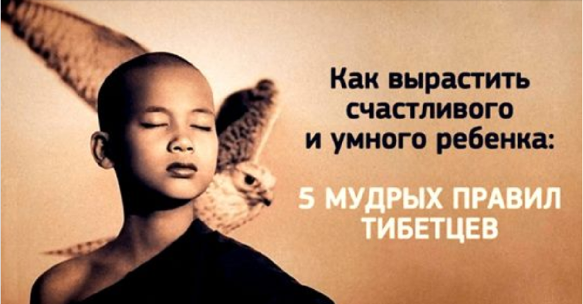 Фото из Яндекс картинки 