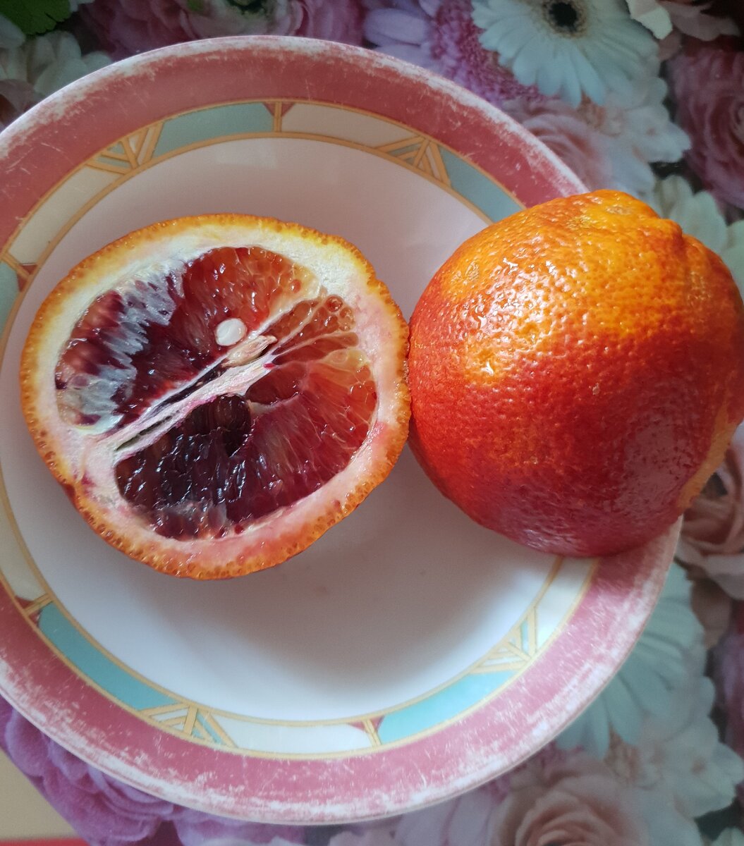 они самые, красные апельсины