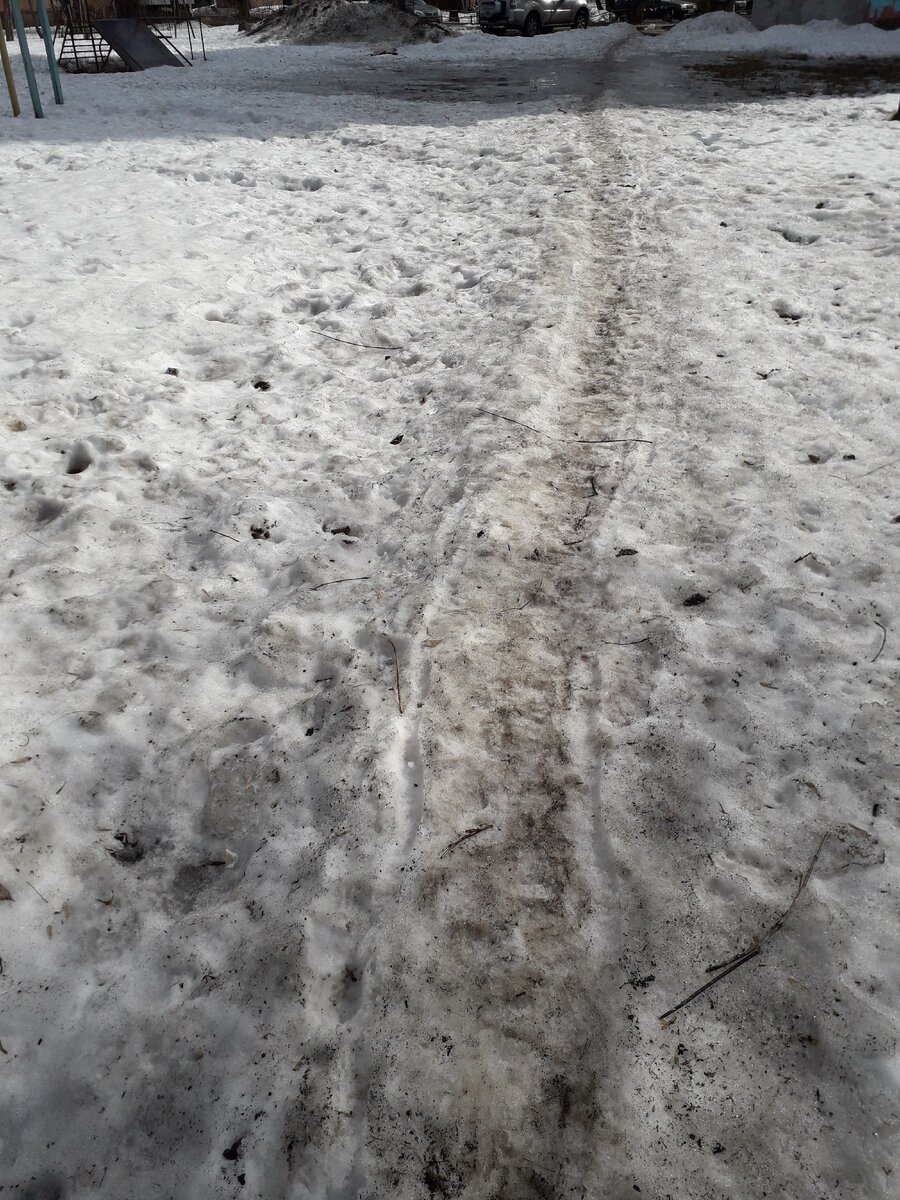 фото автора. один из дворов в Перми 30 марта 2020.