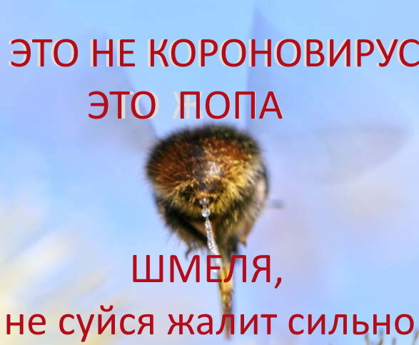 Кстати, привозил эту заразу в прошлом году сын из Самары. Вначале сам  переболел, температура у него была до 39. За 3 дня  выздоровел, хотя и температурил пару дней сильно. Потом у меня началось через пару дней.   Боль в груди при сухом кашле  напоминала боль от укуса шмеля, такая нетерпимо резкая Мы с ним тогда обсуждали эту тему и пришли к выводу, что это мутация гриппа после прививок и передаётся от тех, кто прививки делал, к тем, кто не прививался. Гуляет эта вирусная мутация не первый год, судя по информации о  вирусе гриппа А. Мясникова в передаче "О самом главном" год назад. 