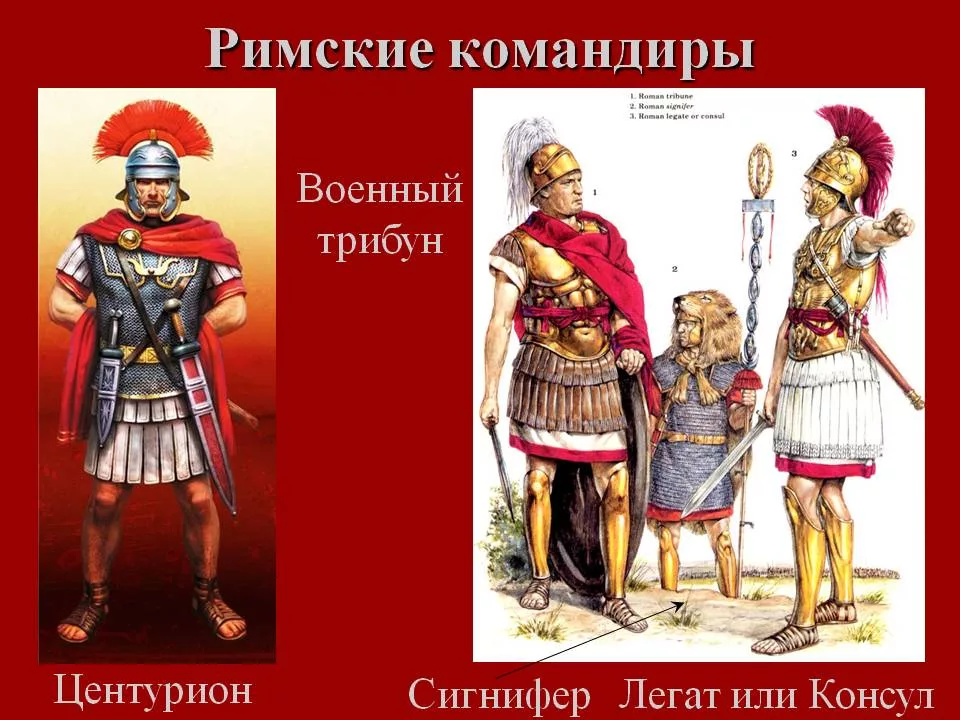 Что такое Легат, Центурион, военный трибун. Командиры римской армии трибун Центурион. Звание Центурион в римской армии. Военный трибун в римском Легионе. Подразделение в древнем риме
