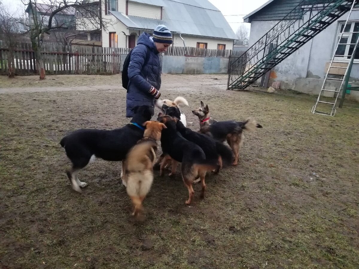Часть нашей банды во временном доме