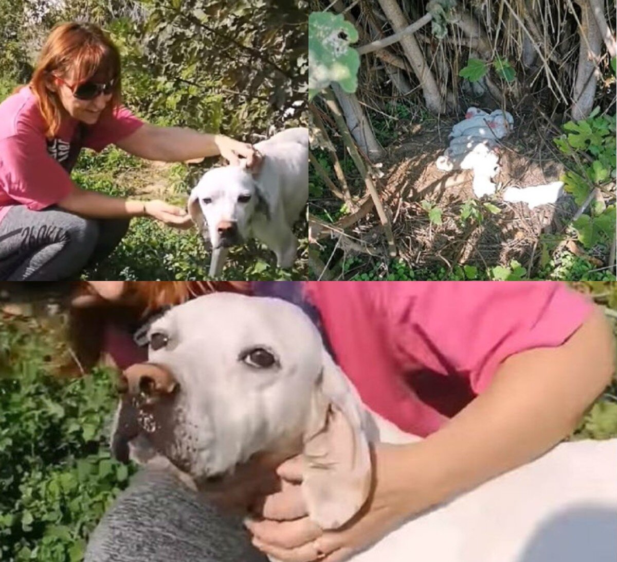 Источник фото: https://yandex.ru/images/