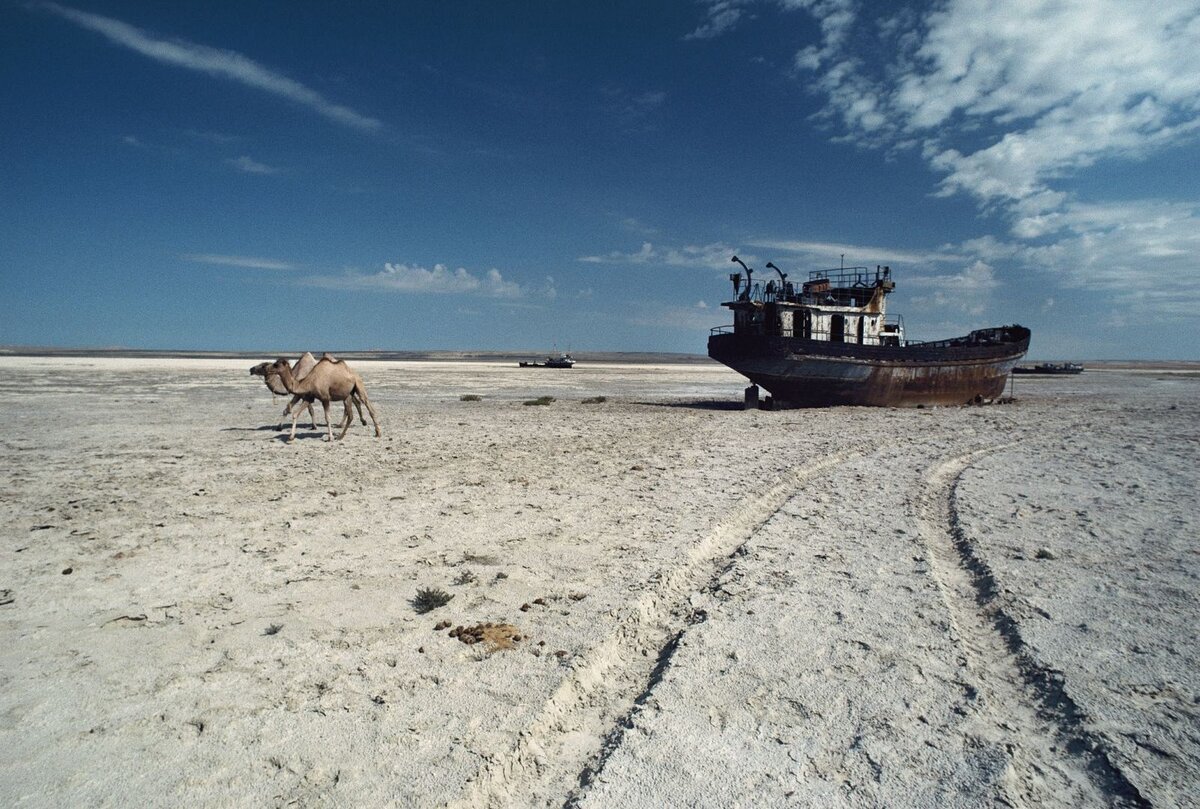 Высохшее море фото