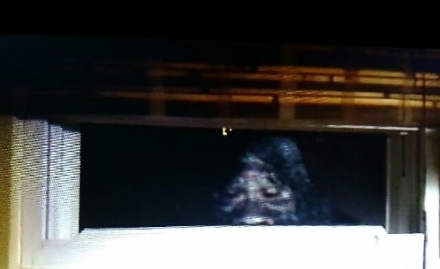 Фото: Scott Yeoman