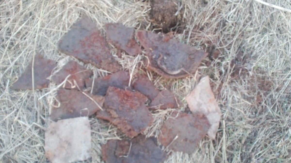 автор фото Александр 🛠