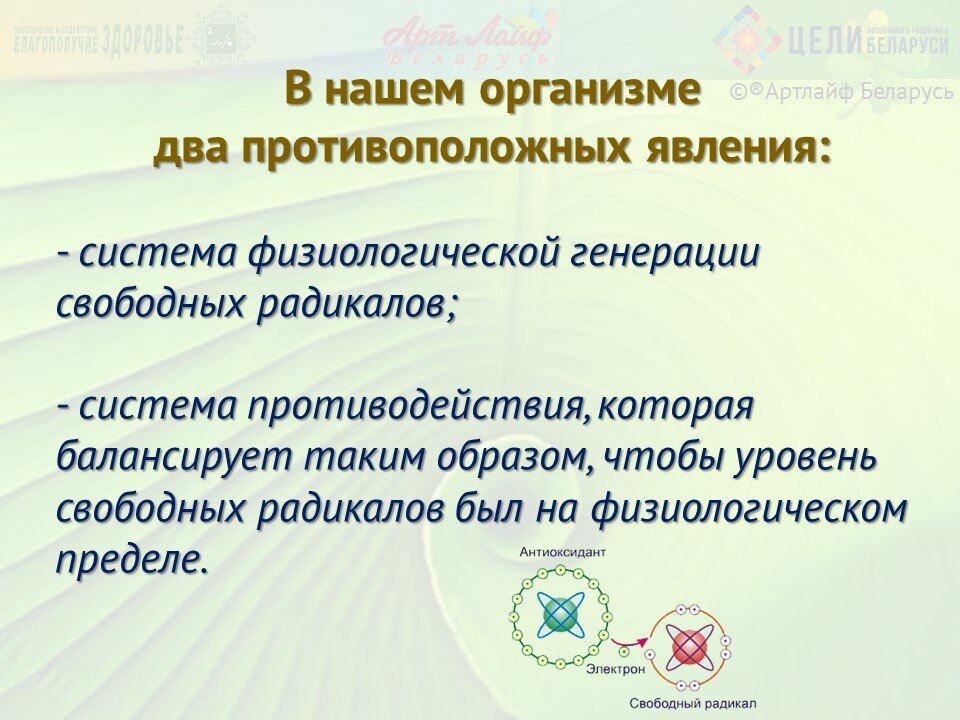 Свободно-радикальный и перекисные процессы. | Еда и Здоровье. Нутрициология  для каждого | Дзен