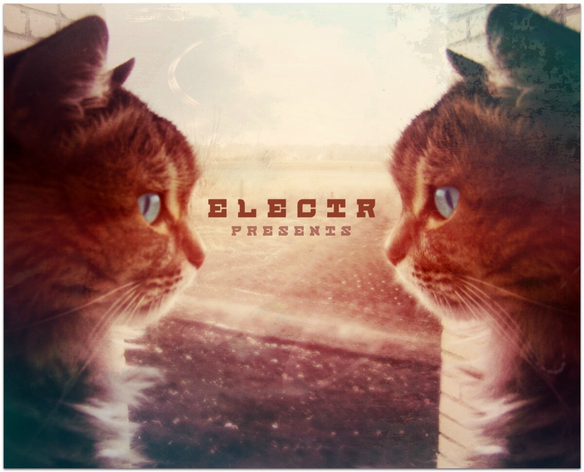 Привет, всем! Недавно заказал набор призм и аксессуаров к ним.