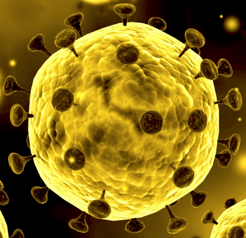 Фото с Яндекс.Картинки