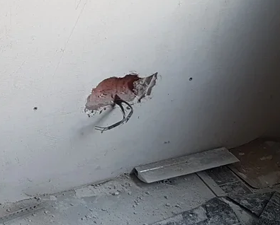 В штукатурке