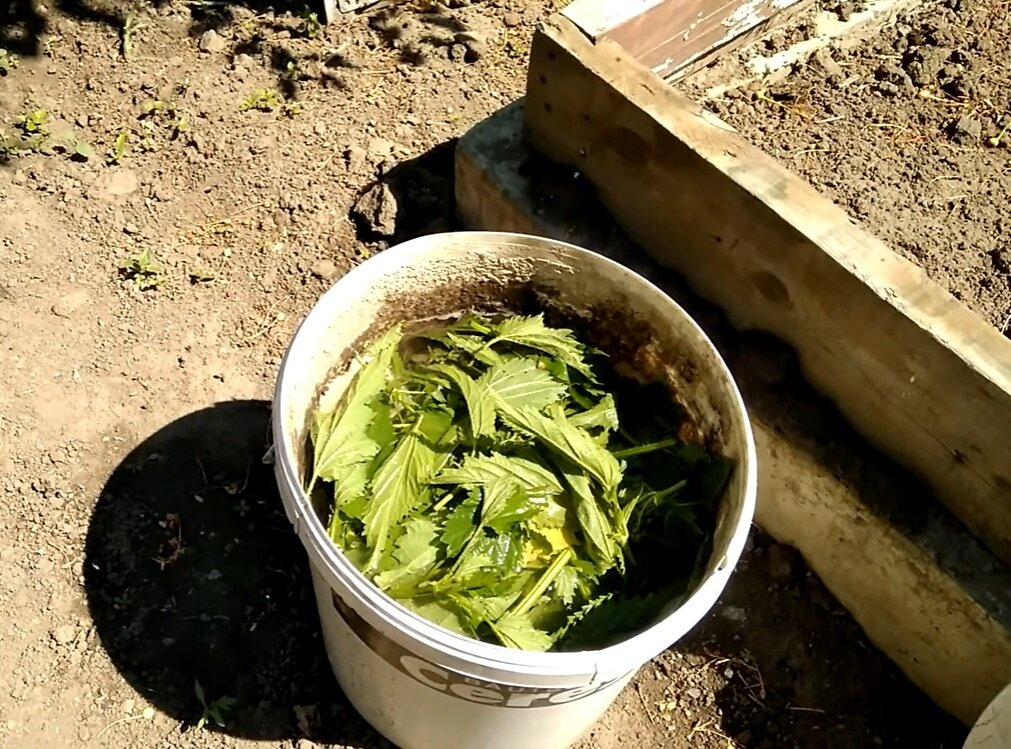 Заливаем все водой