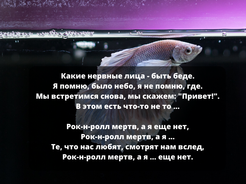 Фото с pixabay.com