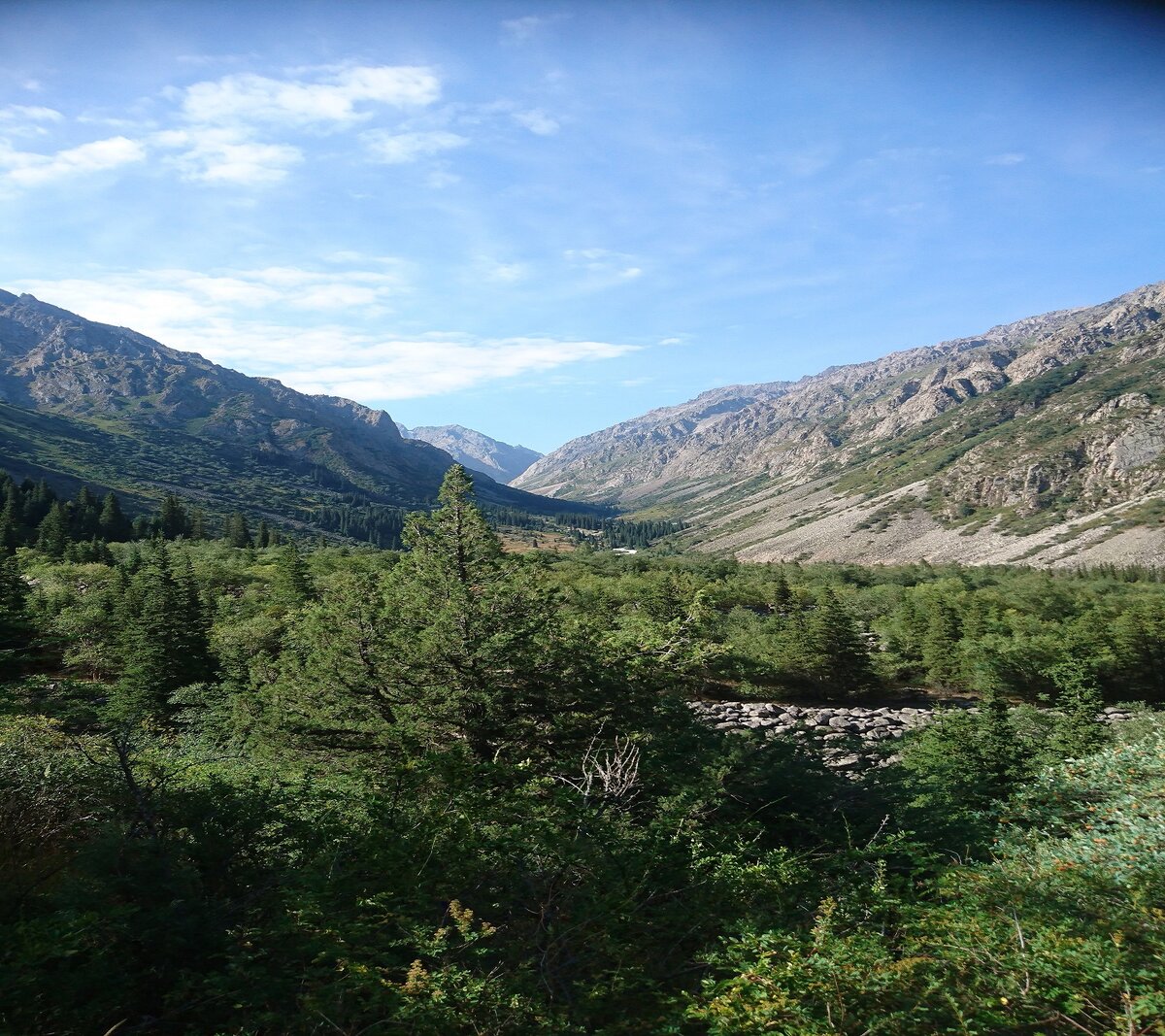 Природный парк Ала-Арча. Фото автора