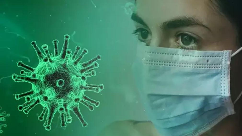 Яндекс. Картинки