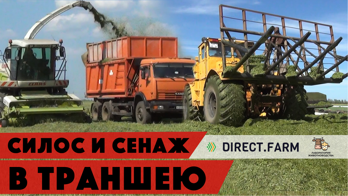 Заготовка сенажа в траншею | Direct Farm | Дзен