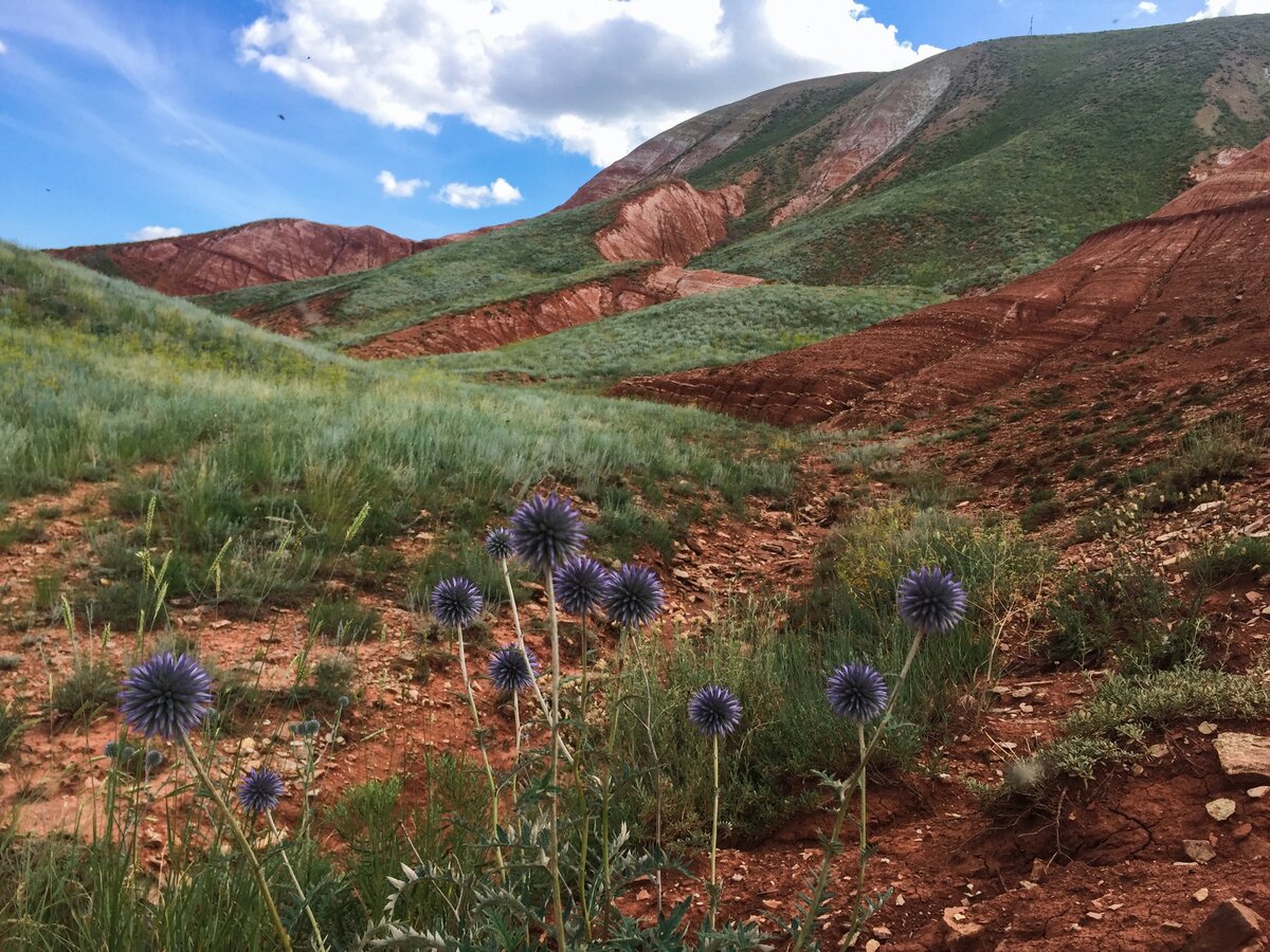 Гора Большое Богдо