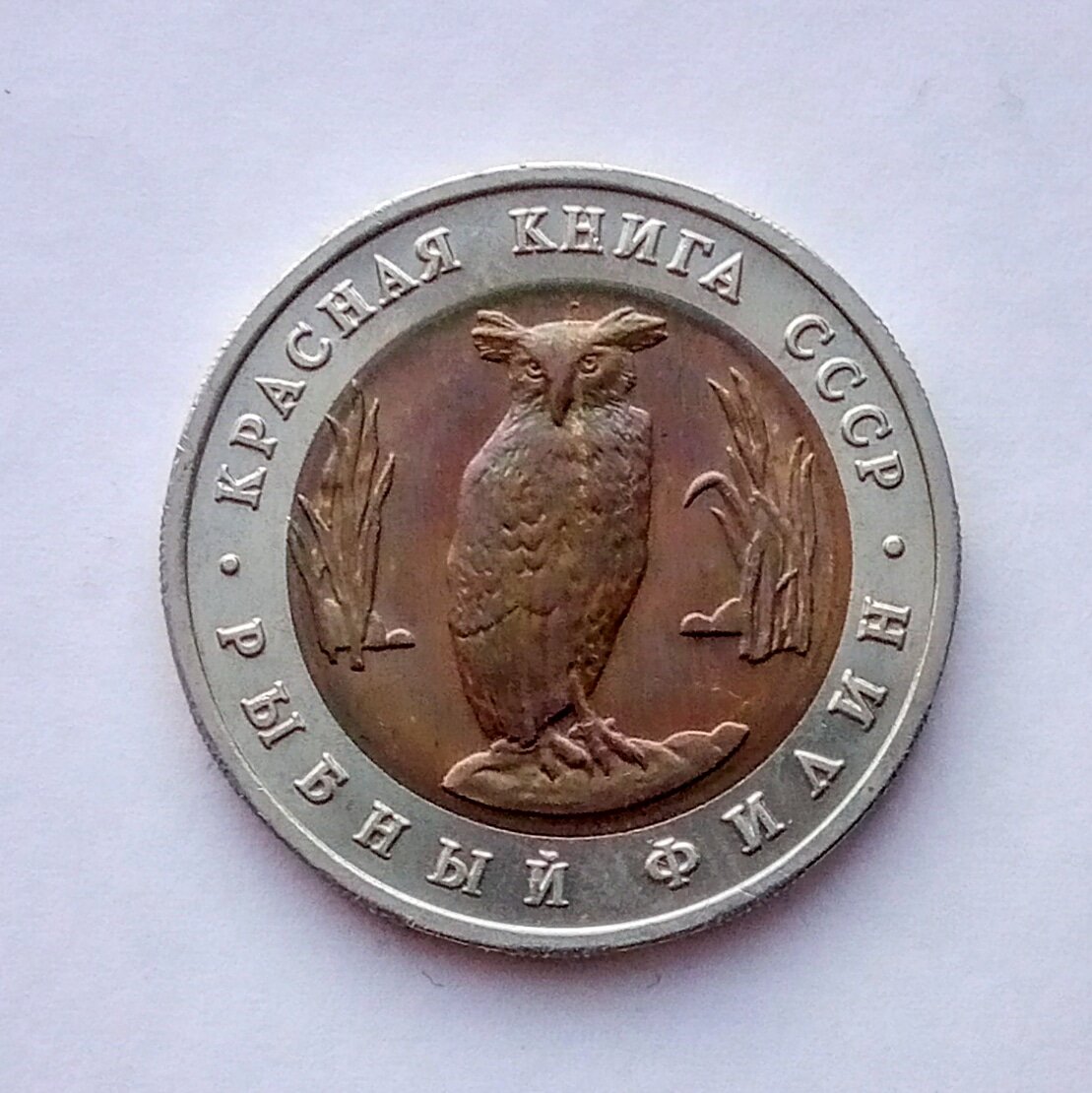 На фото монета из частной коллекции.