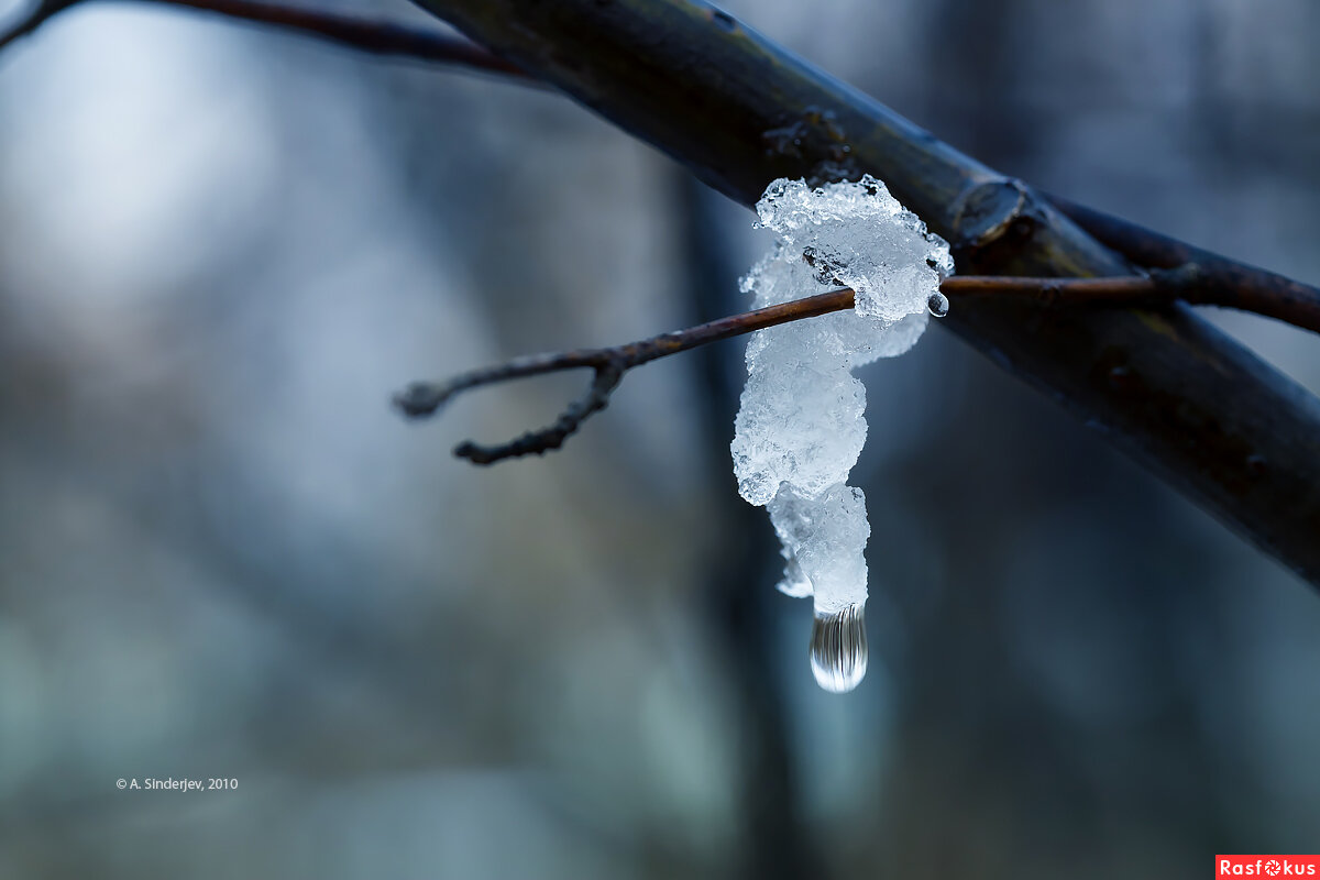 Фото: Яндекс