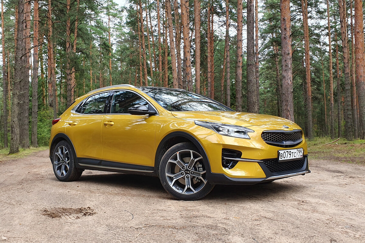 Kia Xceed. Фото CarExpert.ru
