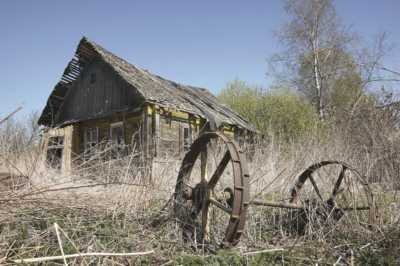 Фото из свободного доступа сети Интернет